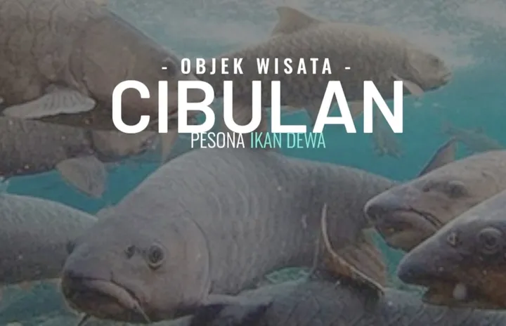 Cibulan 1